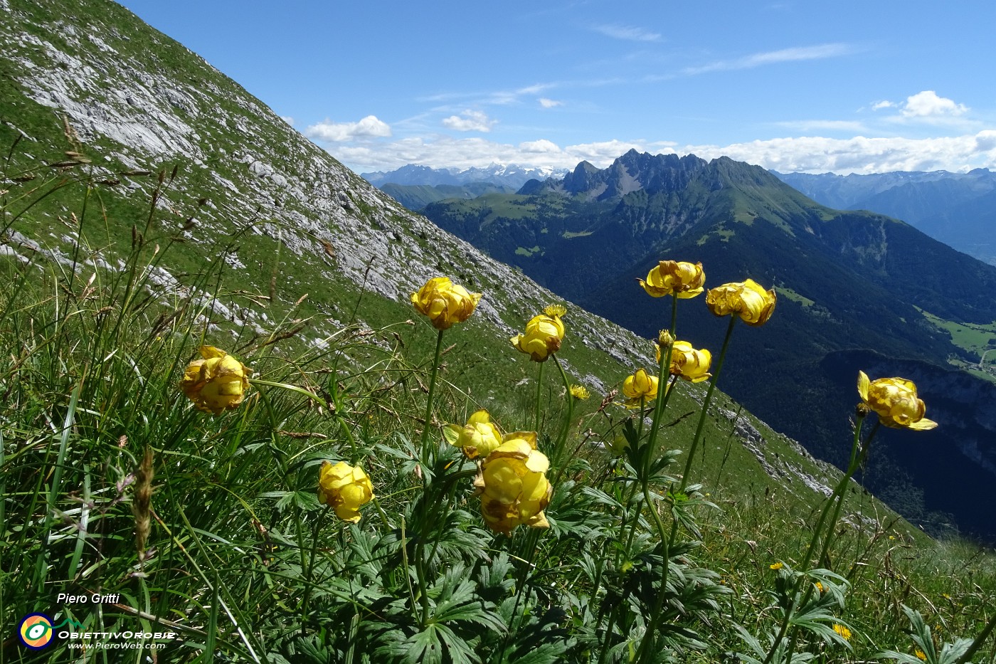 21 Botton d'oro con vista in Pizzo Camino.JPG